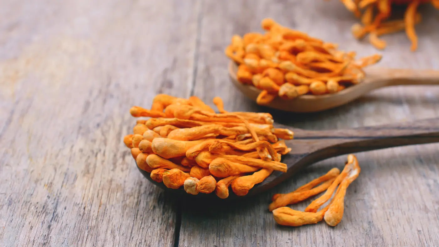 Beneficios, dosis y efectos secundarios del Cordyceps