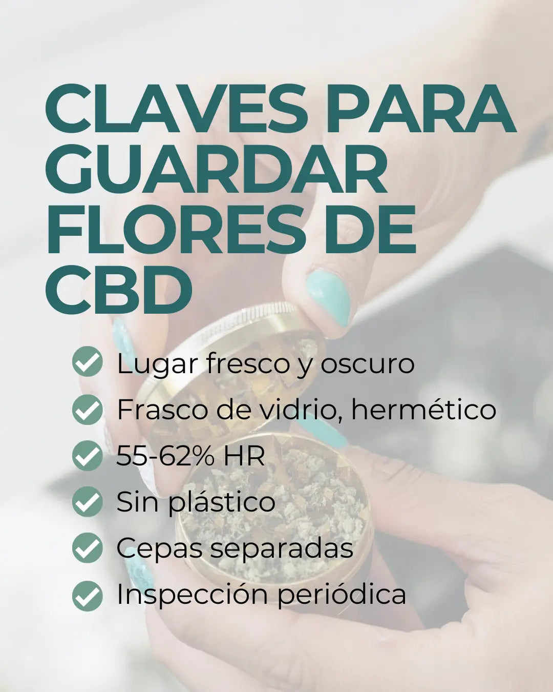 11.webp__PID:c6d1970a-30ae-4d41-8559-aa0e647f7b89