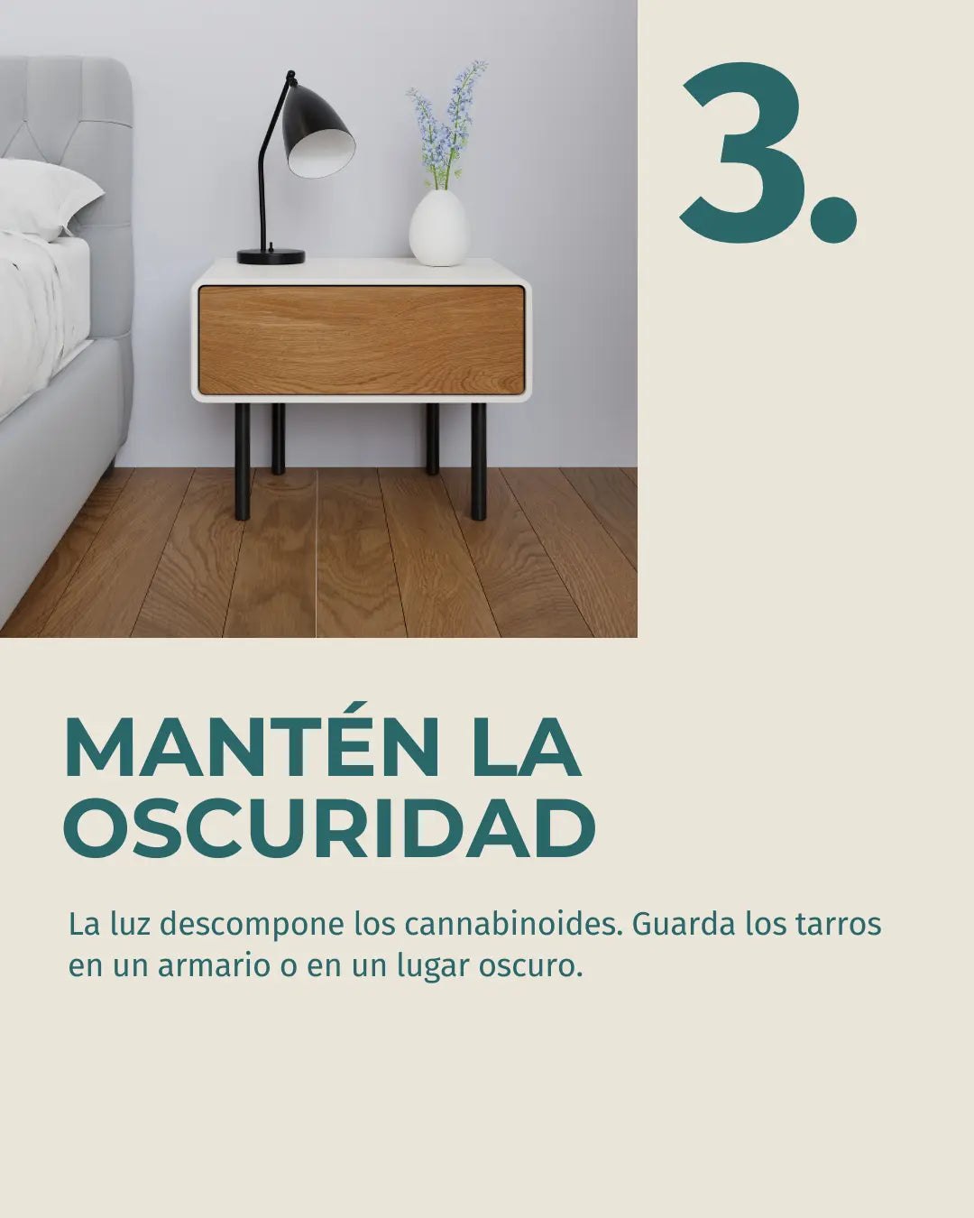 4 (2).webp__PID:d14faec7-0526-4004-9b09-369fa8d02471