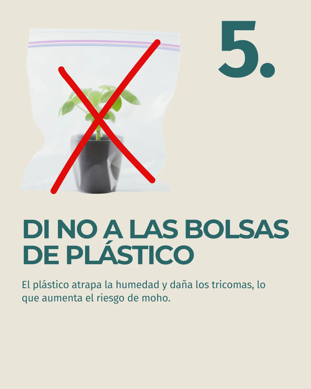 6 (2).webp__PID:a0041b09-369f-48d0-a471-c49428dcec3c