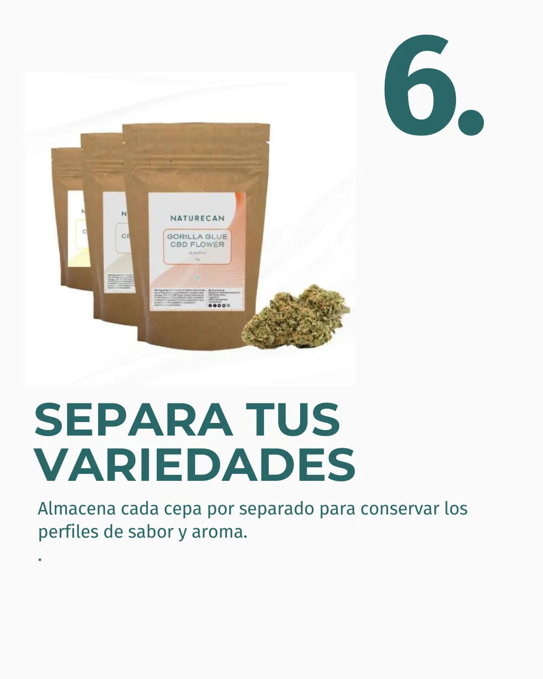 7.webp__PID:1b09369f-a8d0-4471-8494-28dcec3c2dba