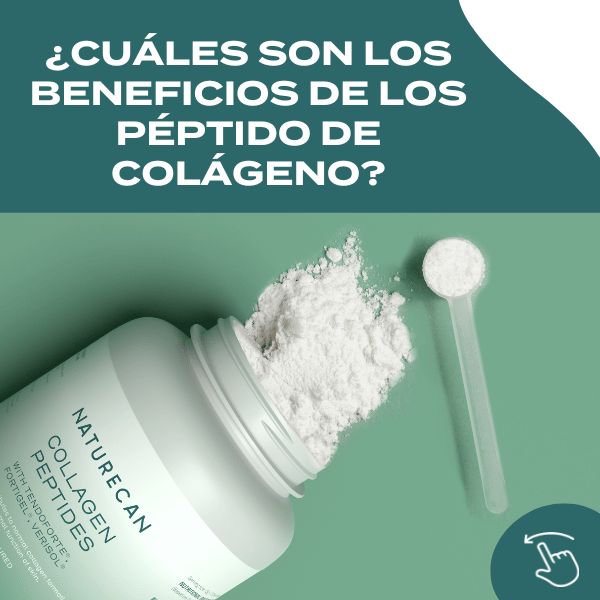 Beneficios de los péptidos de colágeno en polvo