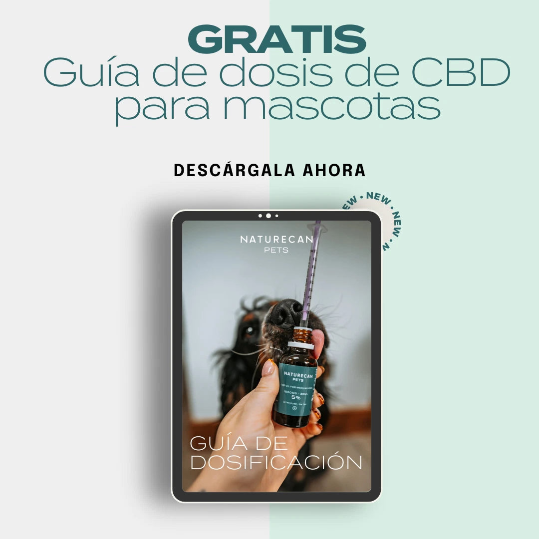 Guía de dosis de CBD para mascotas
