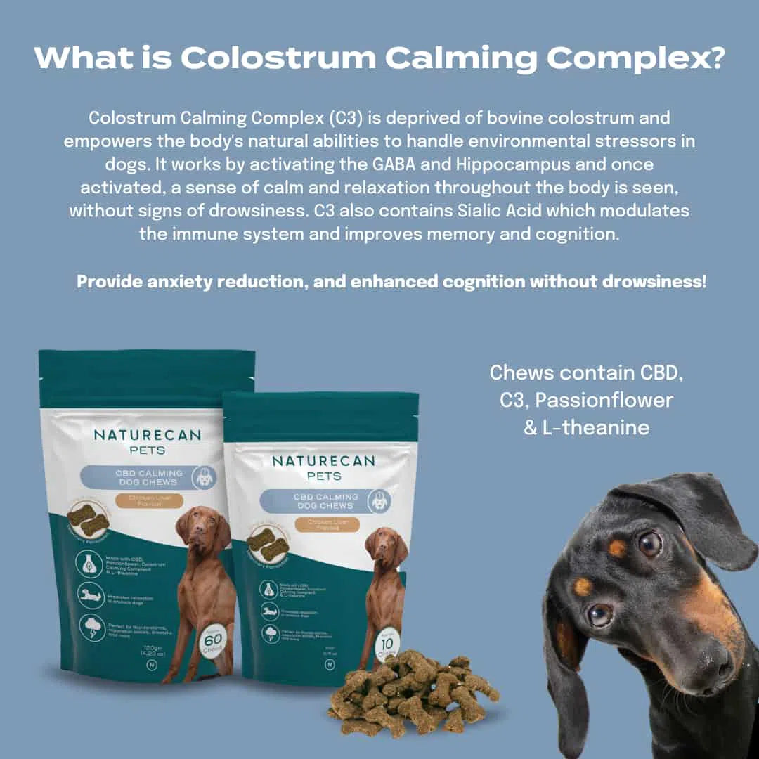 Chuches CBD relajantes para perros | Naturecan España