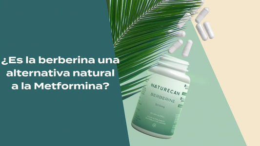Berberina como alternativa a la metformina
