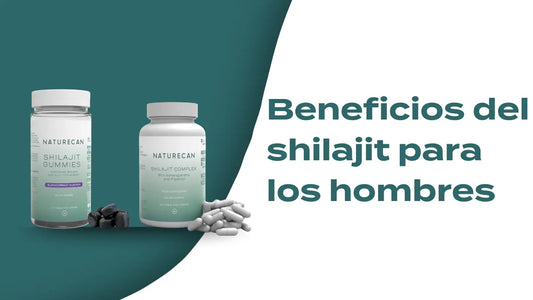 4 beneficios del shilajit para los hombres