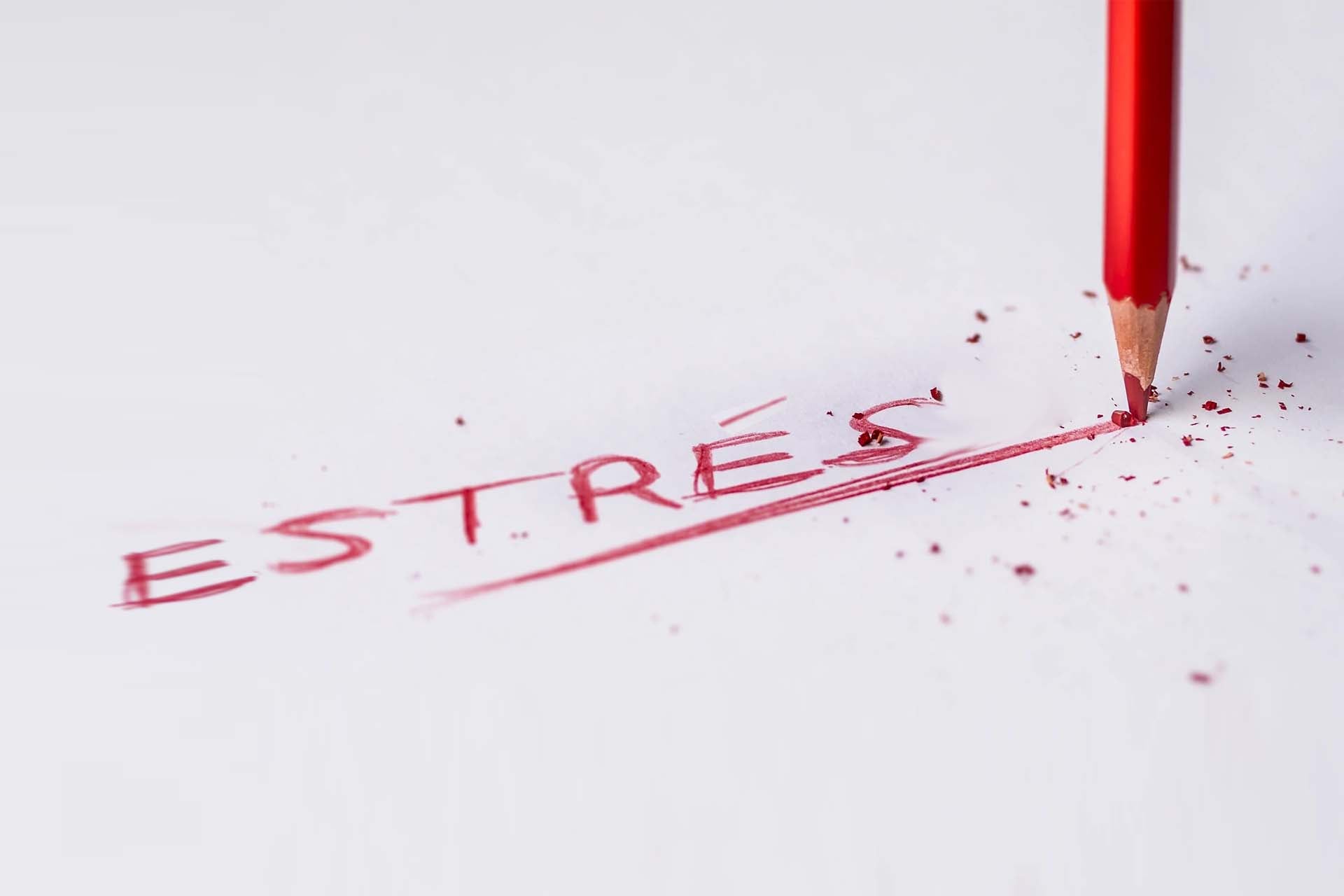El CBD y el estrés: ¿Qué dicen los estudios?
