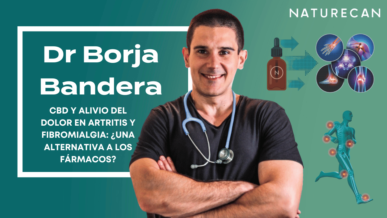 Dr. Borja Bandera: CBD y alivio del dolor en artritis y fibromialgia
