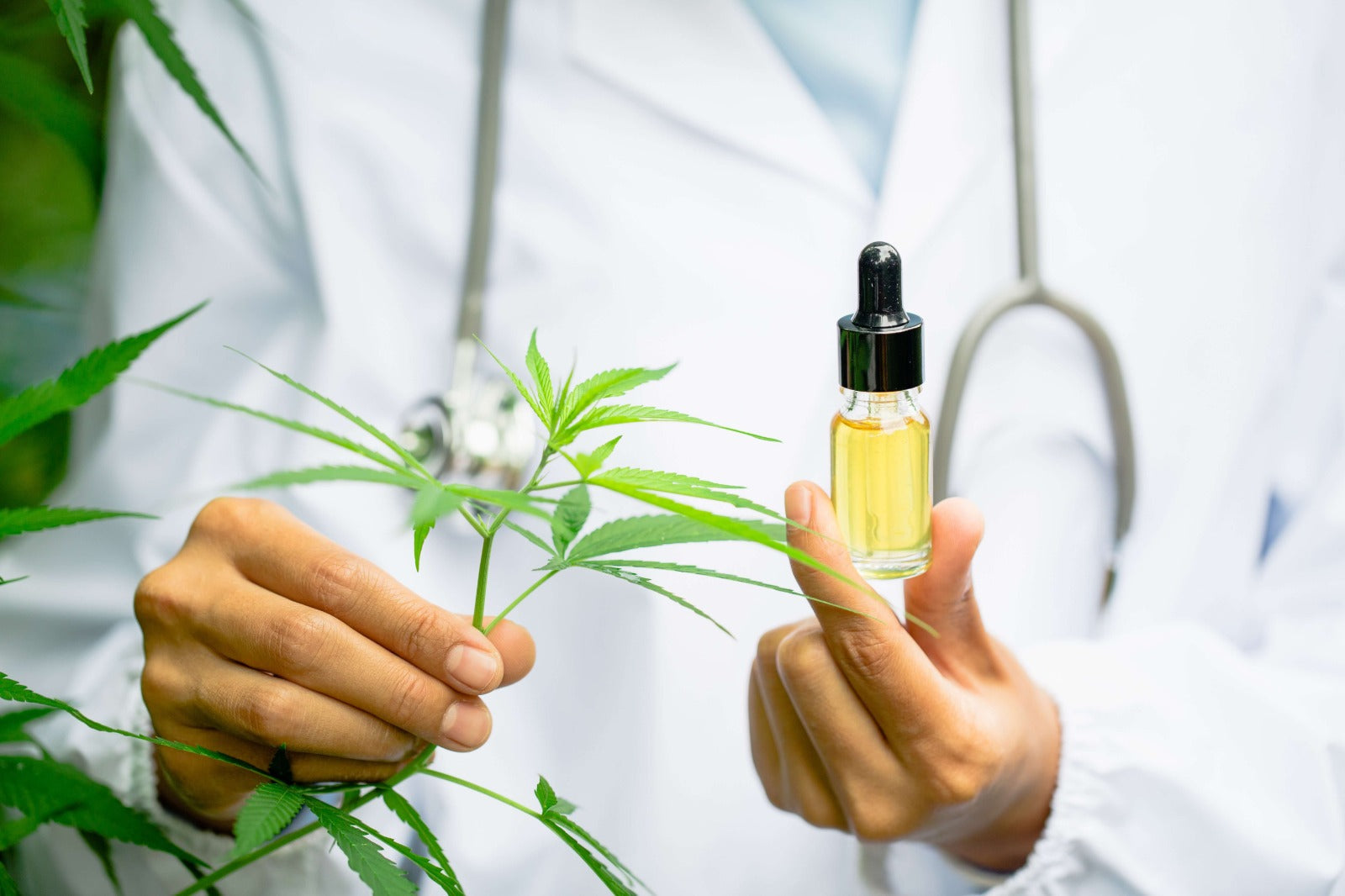 Qué son los cannabinoides