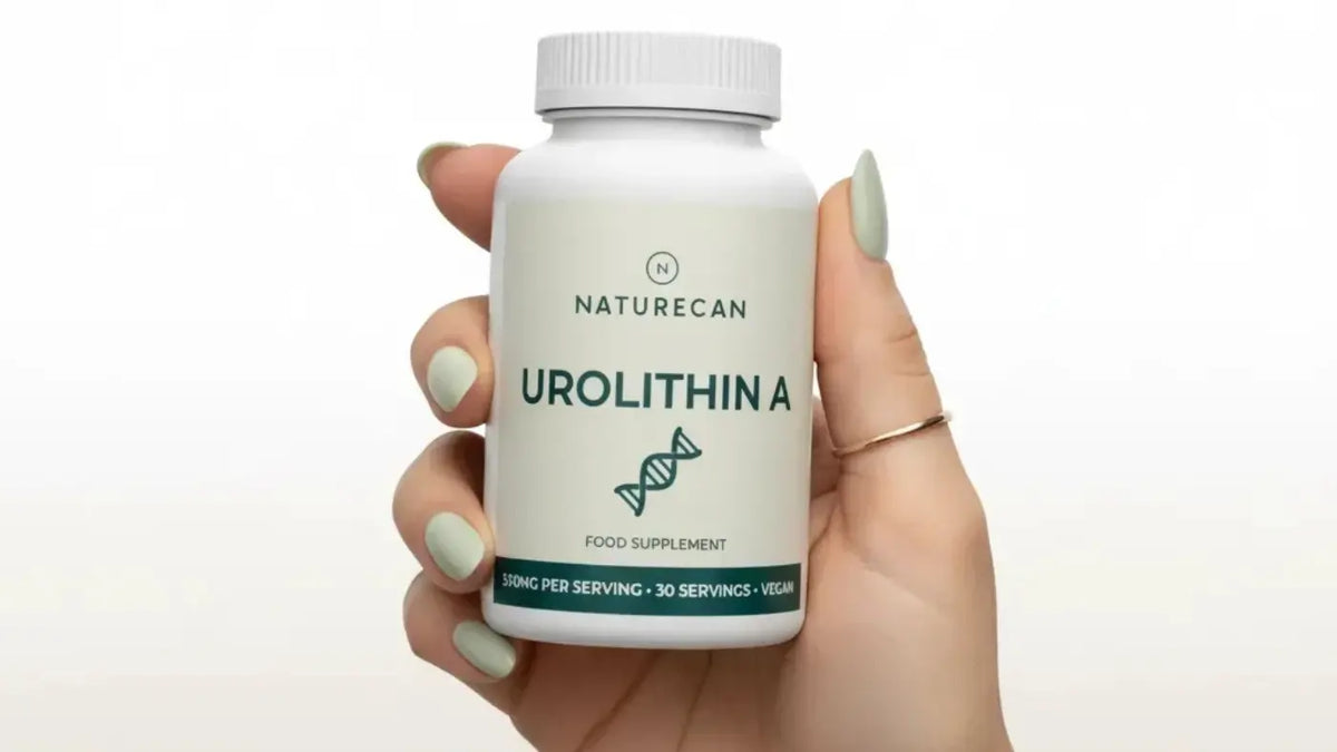 Qué es la urolitina A