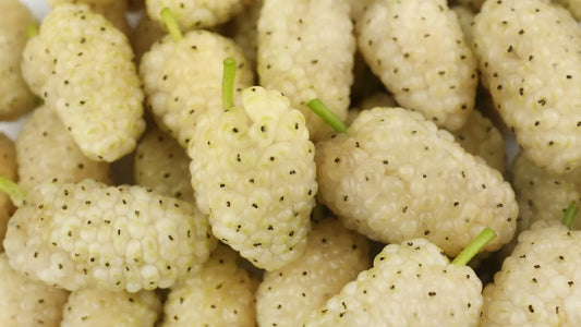 5 Beneficios de la morera blanca - ¿Qué dice la ciencia?