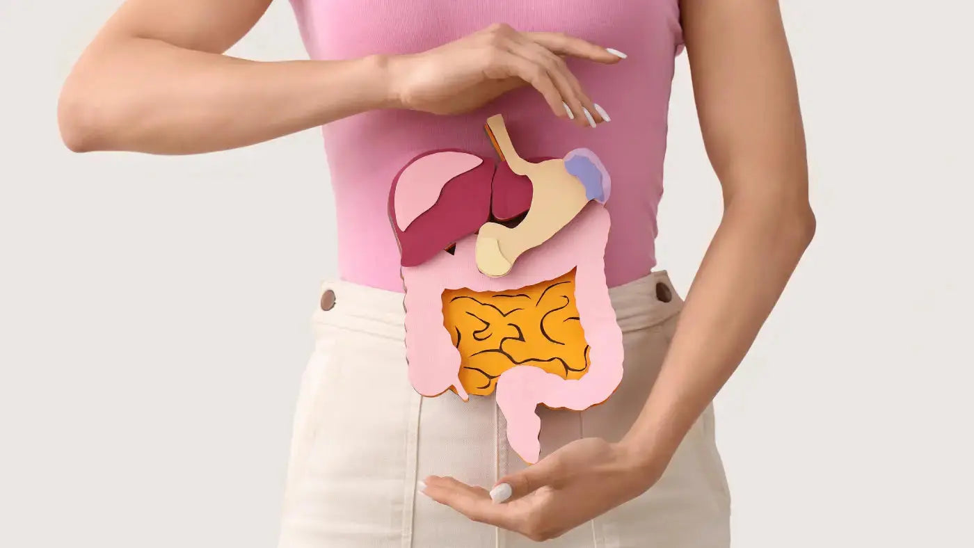 Enzimas digestivas: Qué son y para qué sirven