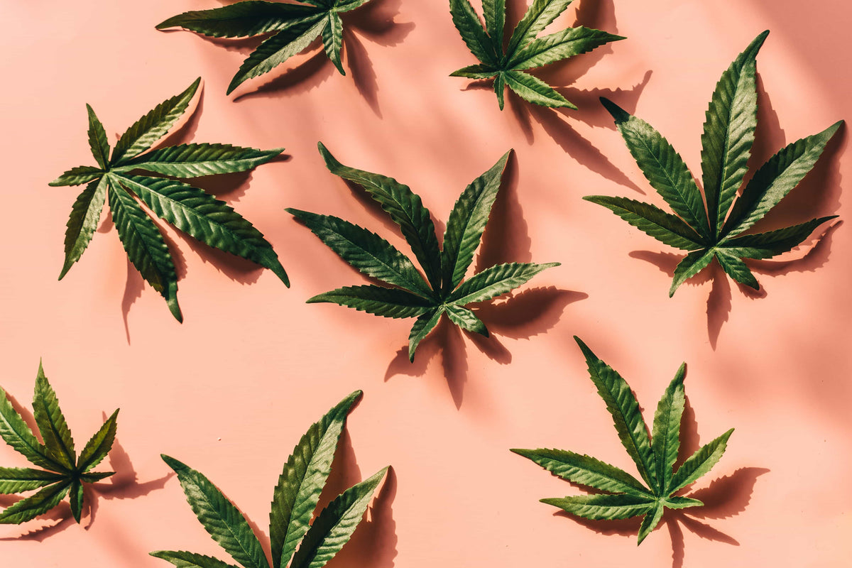 ¿A qué huele el cannabis?