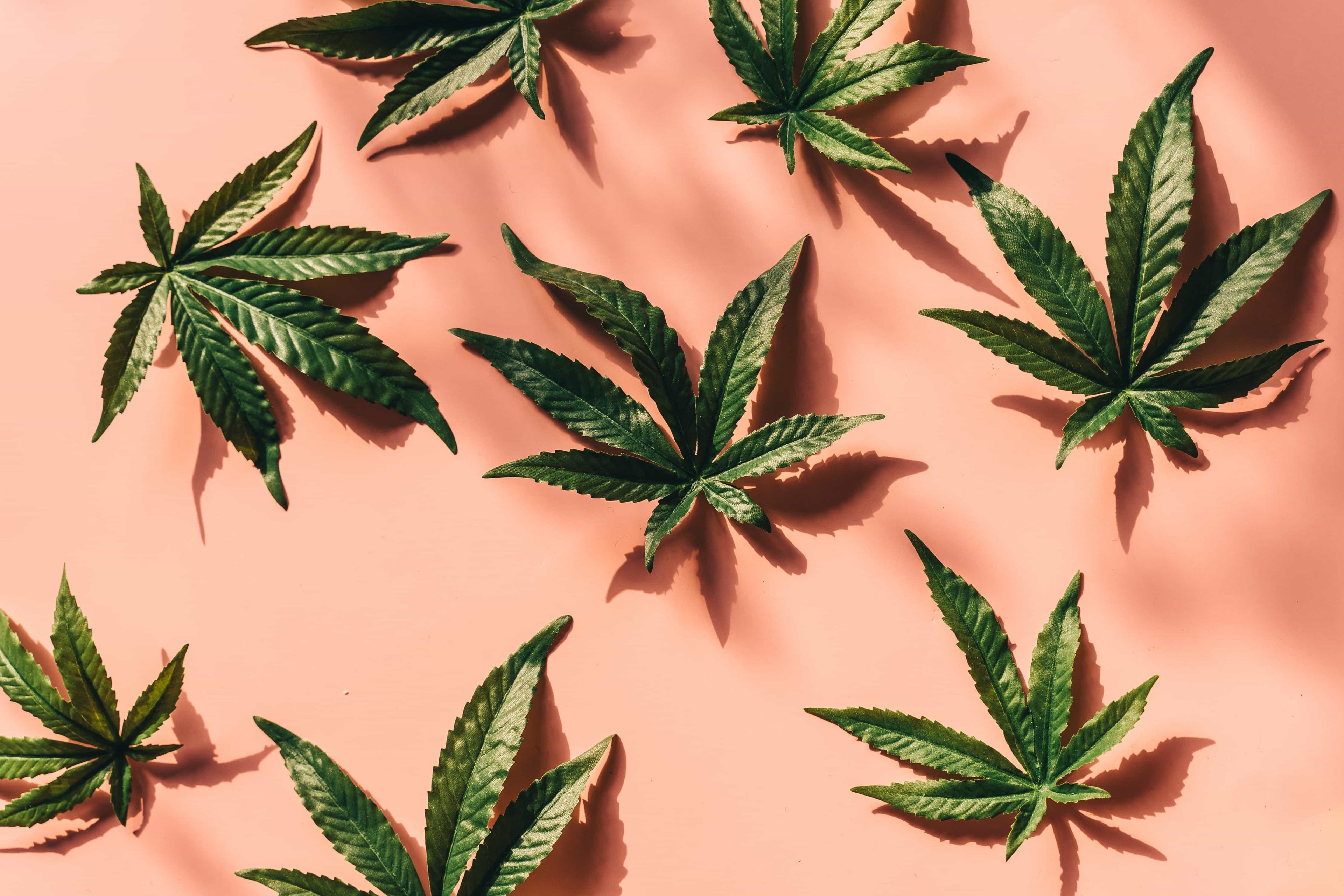 ¿A qué huele el cannabis?
