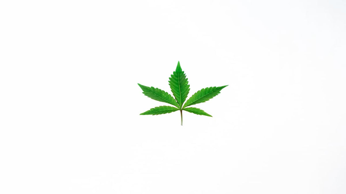 Variedades de flores CBD