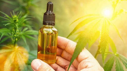 ¿Por qué comprar CBD en Naturecan?