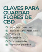 11.webp__PID:c6d1970a-30ae-4d41-8559-aa0e647f7b89