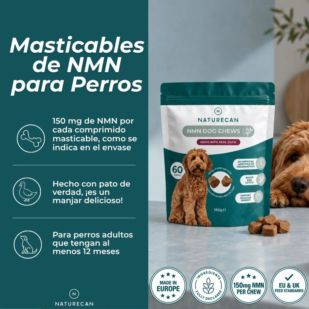 Masticables de NMN para Perros