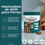Masticables de NMN para Perros