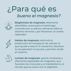 Magnesio 3 en 1