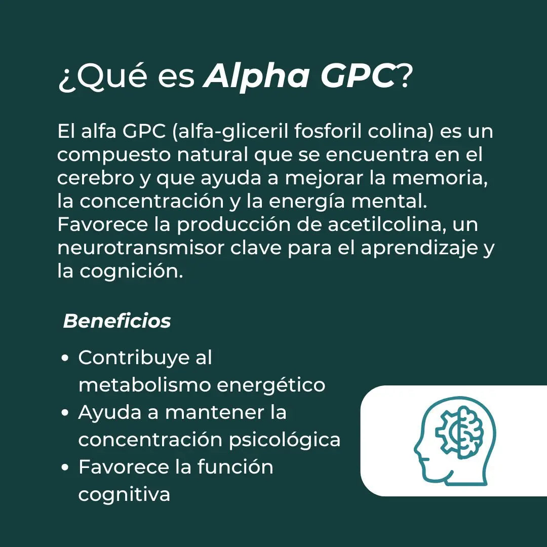 Alpha GPC