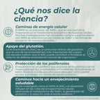 Pack anti-envejecimiento