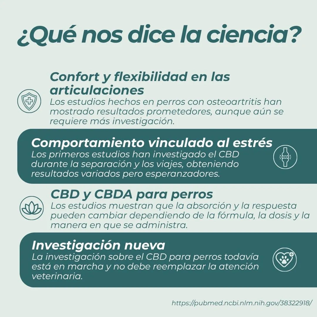 Aceite CBD Ultrapuro Perros