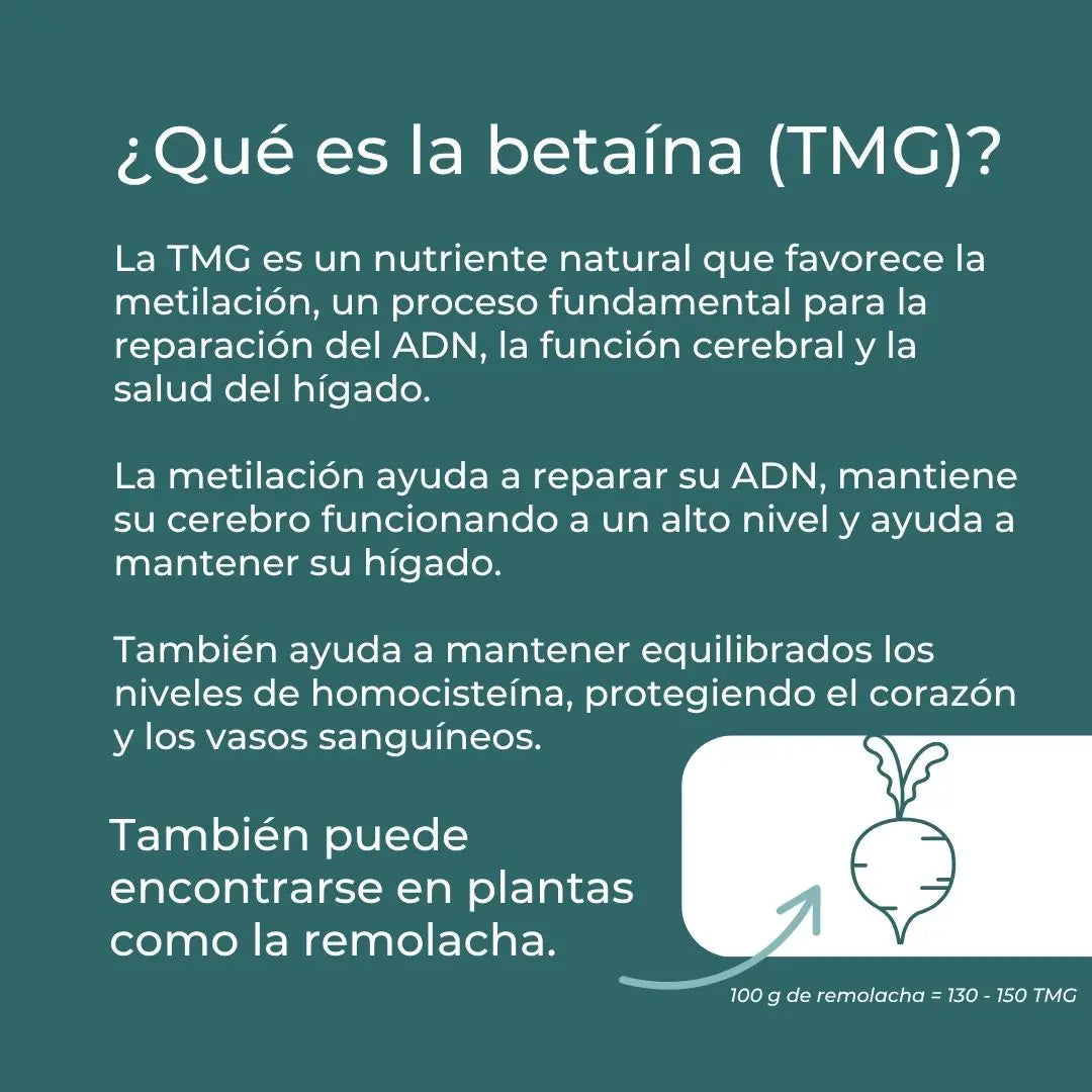 Suplemento TMG
