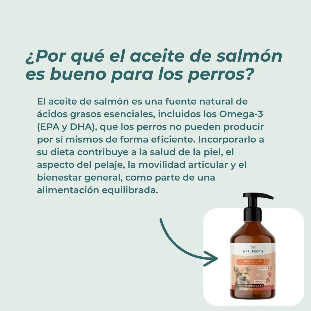 Aceite de salmón para perros