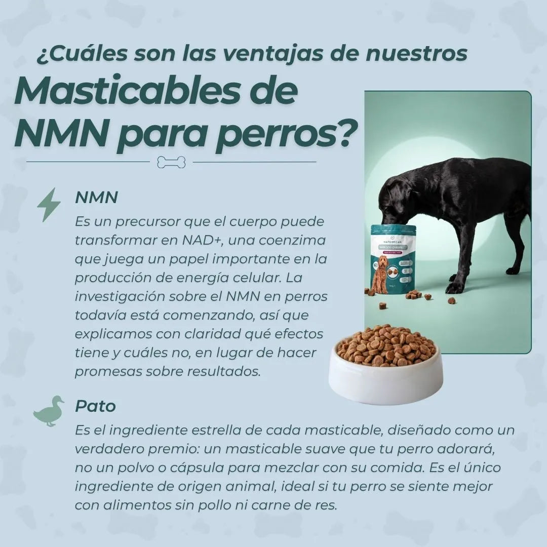Masticables de NMN para Perros