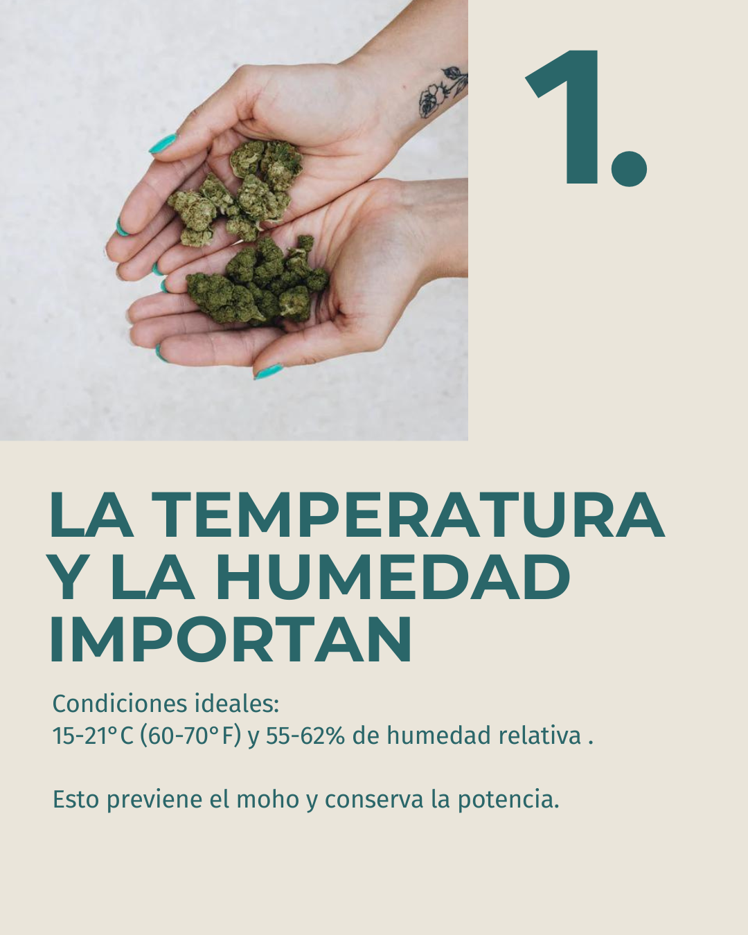 2.png__PID:5722c6ea-d14f-4ec7-8526-a0041b09369f