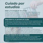 Masticables de NMN para Perros