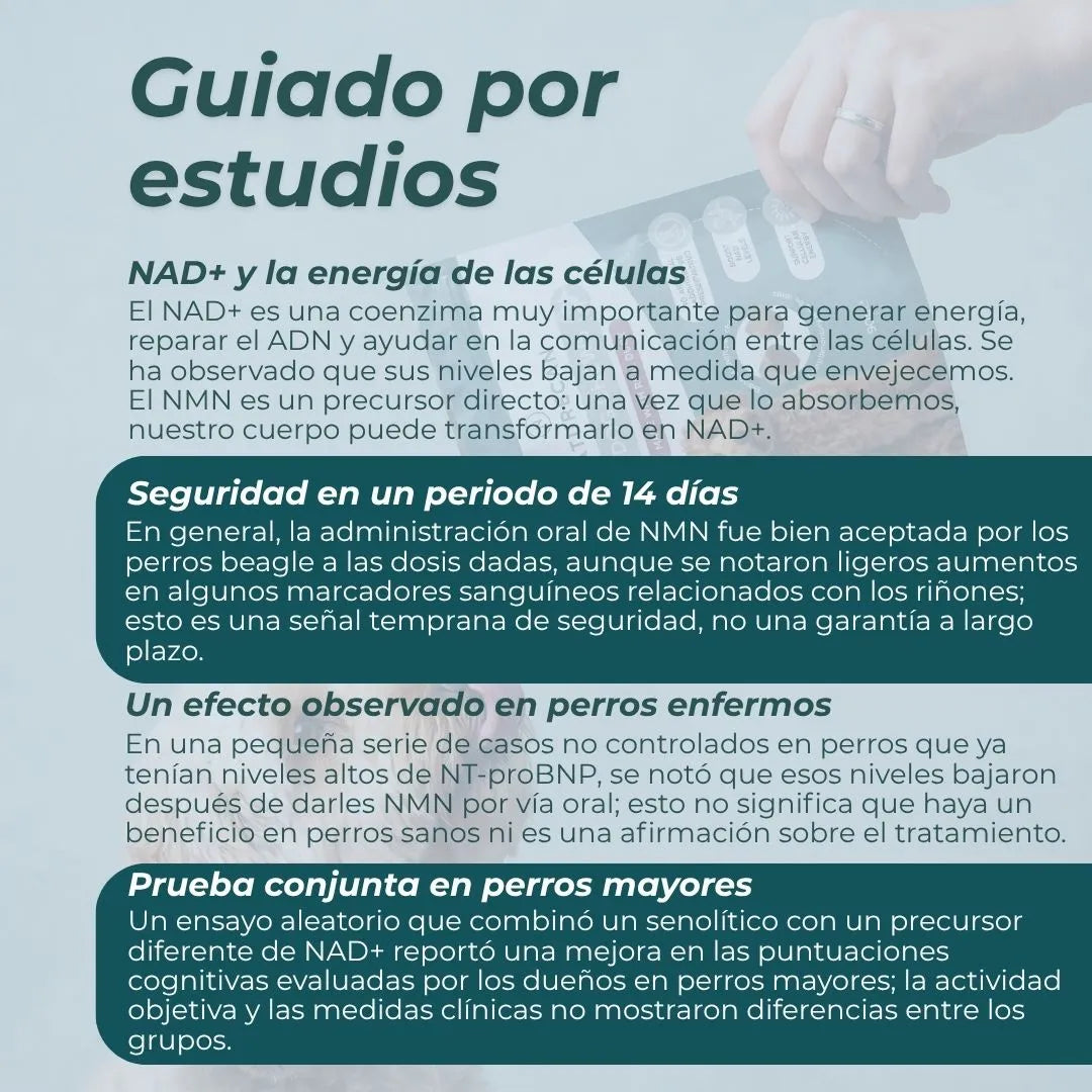 Masticables de NMN para Perros