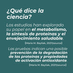 Alfa-cetoglutarato cálcico (Ca-AKG)