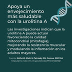 Urolitina A