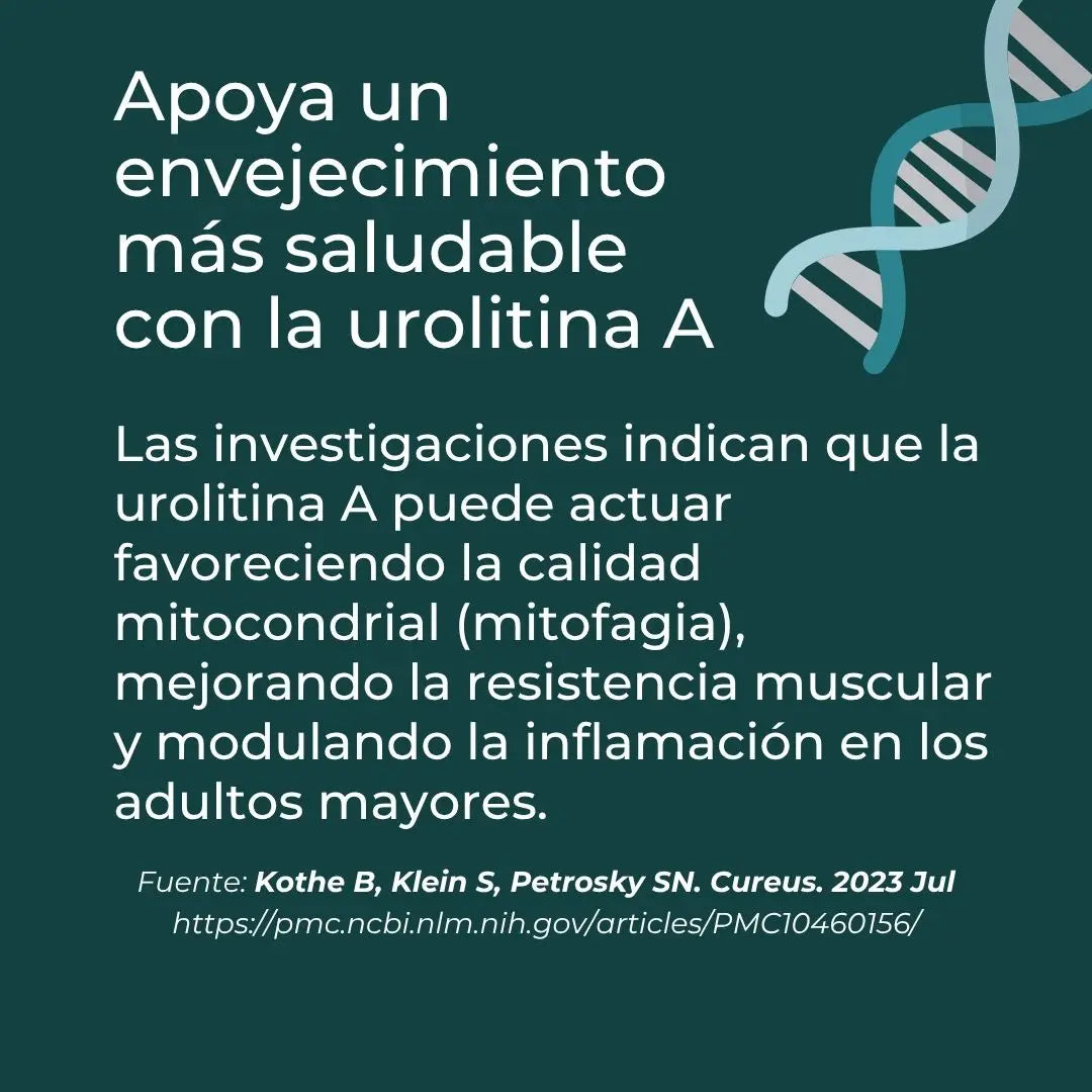 Urolitina A