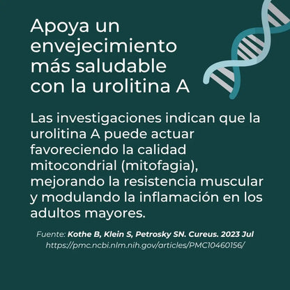 Urolitina A