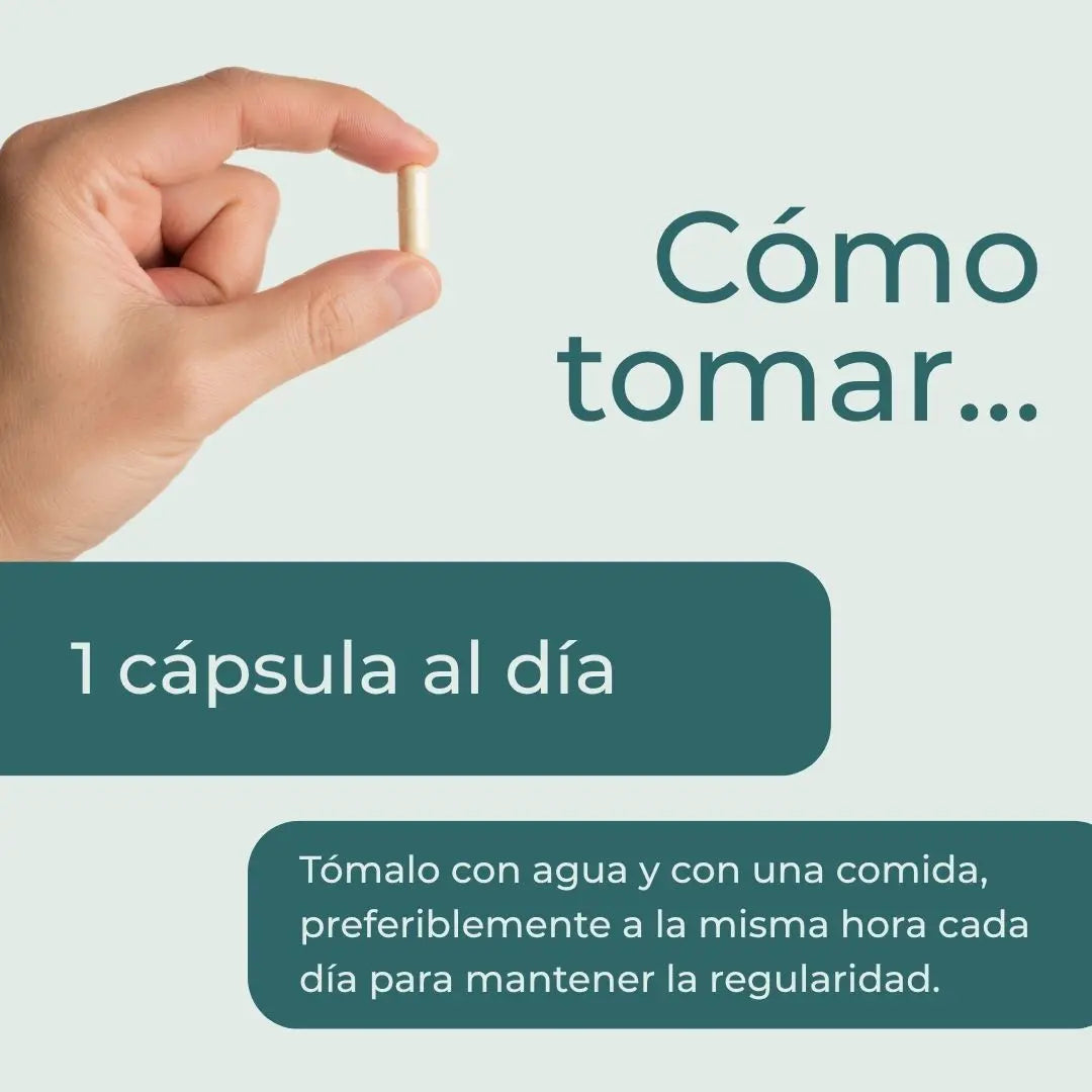 NAC Cápsulas