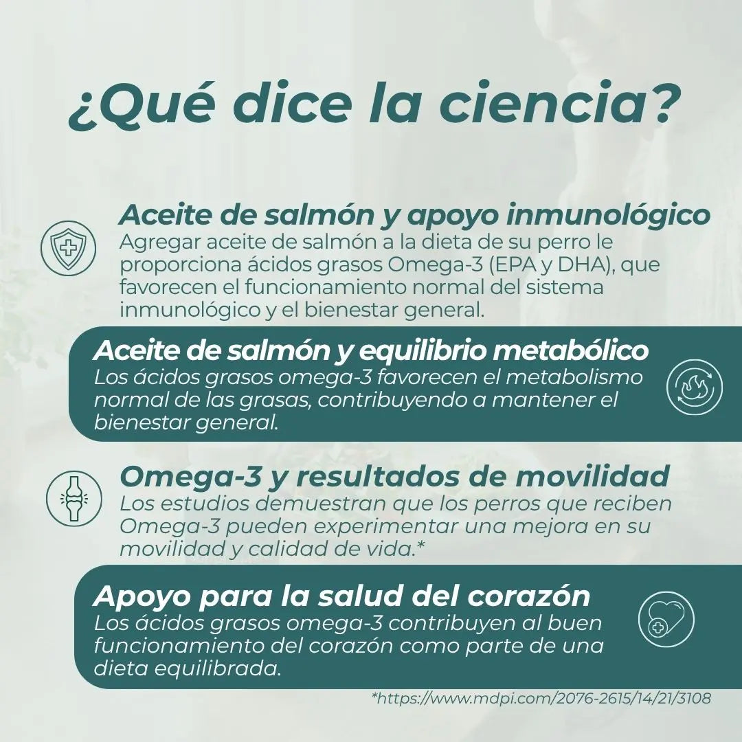 Aceite de salmón para perros