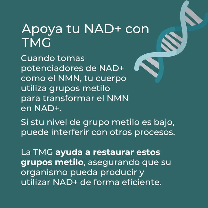 Suplemento TMG