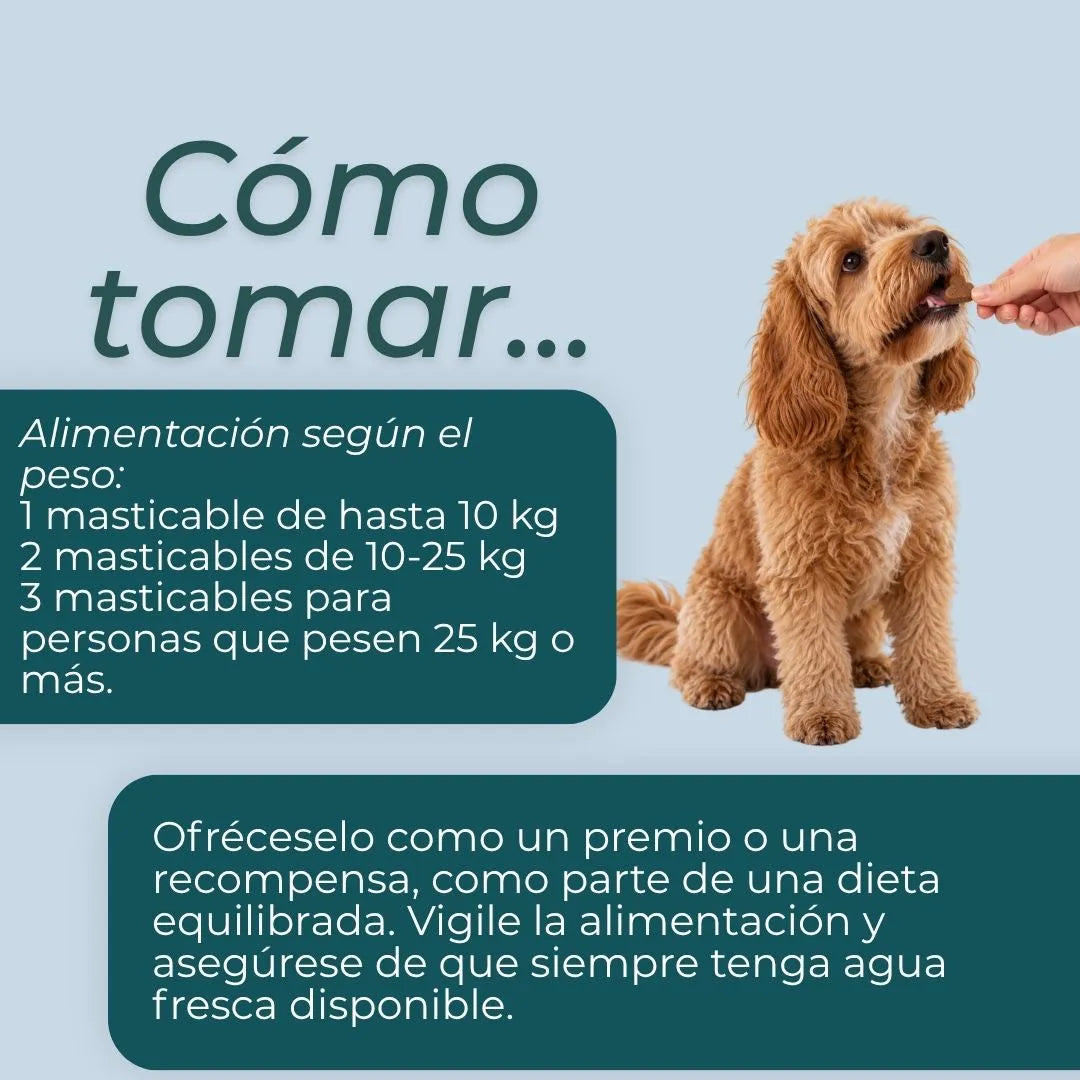 Masticables de NMN para Perros