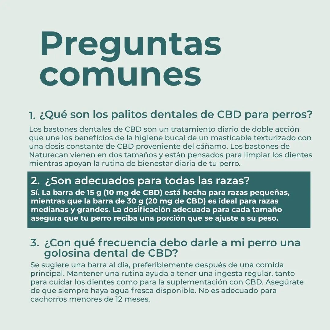 Barritas dentales con CBD para perros