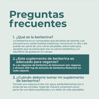 Berberina
