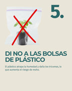 6 (2).webp__PID:a0041b09-369f-48d0-a471-c49428dcec3c