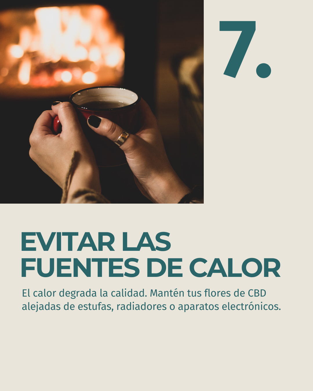 8.png__PID:369fa8d0-2471-4494-a8dc-ec3c2dba37c6