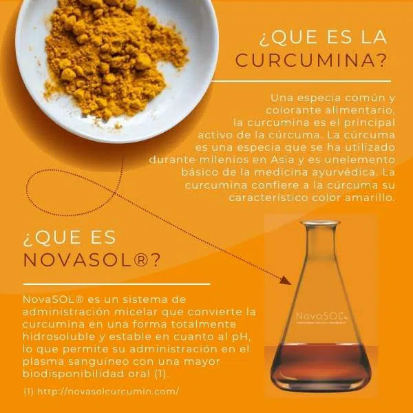 curcumina activa