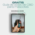 Guía de dosis de CBD para mascotas
