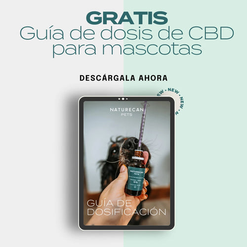 Guía de dosis de CBD para mascotas