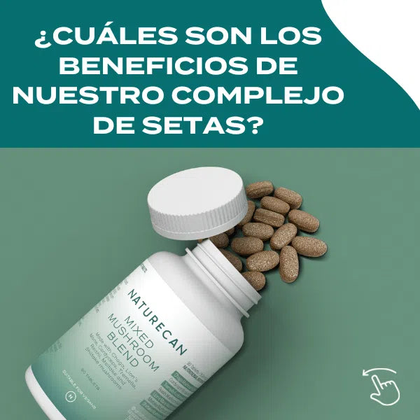 Complejo de setas Comprimidos