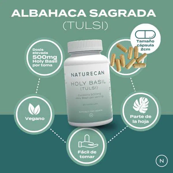 Albahaca Sagrada (Holy Basil) cápsulas